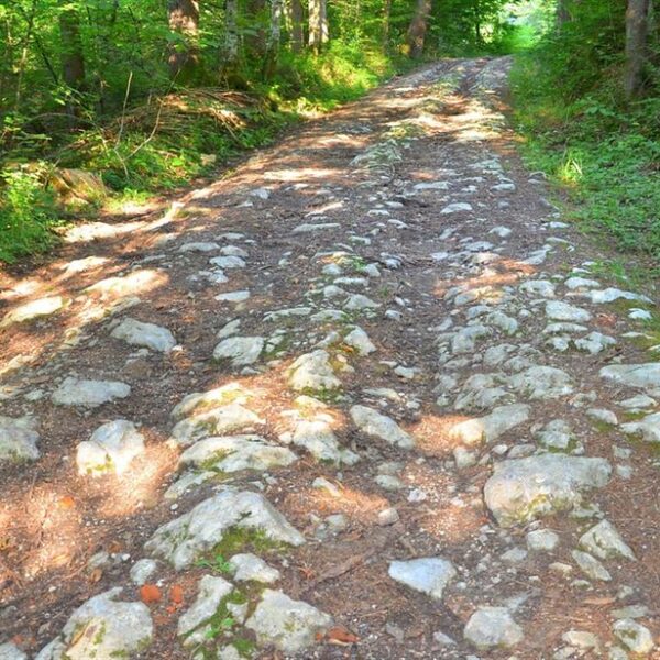 Cesta Roman: The Timeless Legacy of Romaan Roads